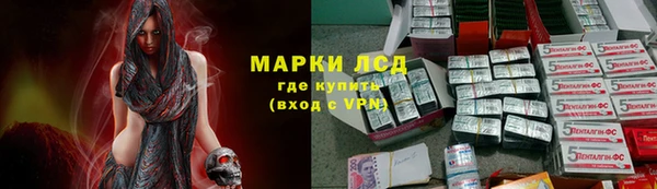 трава Надым