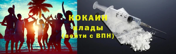 дживик Новозыбков