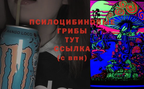 ПСИЛОЦИБИНОВЫЕ ГРИБЫ Навашино