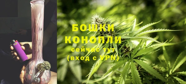 трава Надым