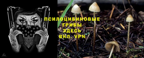 а пвп мука Новодвинск