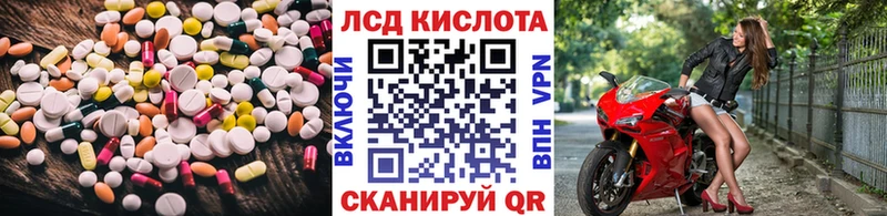 Купить где Строитель Лсд 25 экстази ecstasy