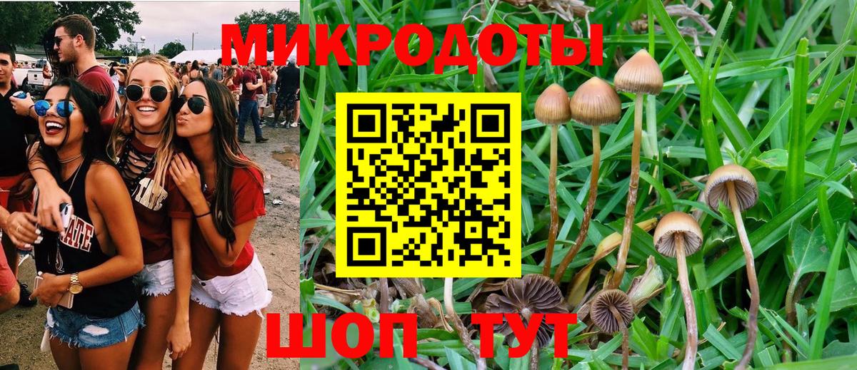 Строитель  Псилоцибиновые грибы прущие грибы  Вход с VPN 